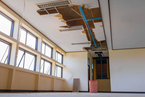 Best Water damage restoration near me  in Lake Mills, WI
