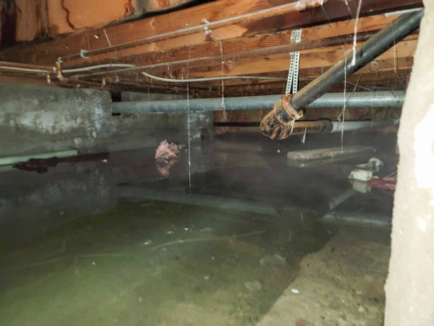 Best 24-hour water damage restoration  in Lake Mills, WI