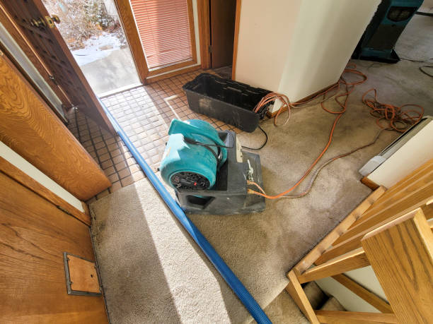 Best Water damage restoration experts  in Lake Mills, WI