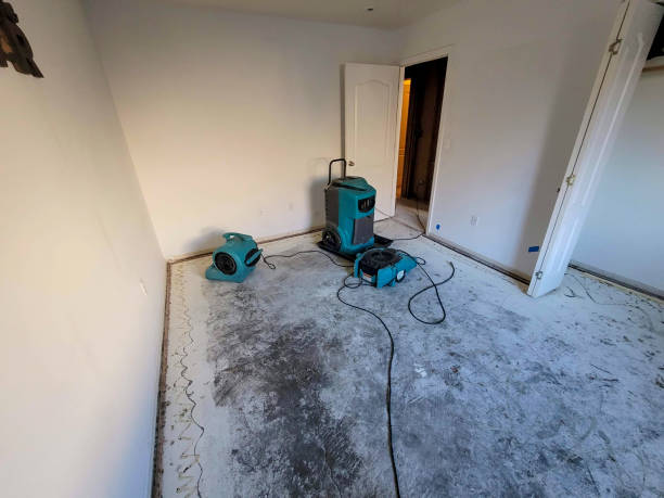 Best Flood restoration services  in Lake Mills, WI