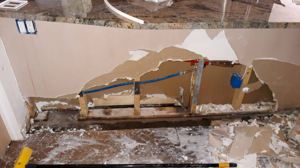 Best Fire Damage Restoration  in Lake Mills, WI