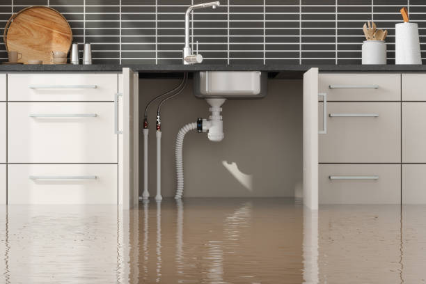 Best Fire Damage Restoration  in Lake Mills, WI