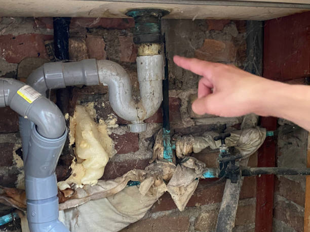 Best Flooded house restoration  in Lake Mills, WI