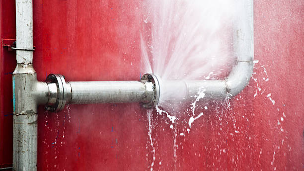 Best Local water damage restoration  in Lake Mills, WI